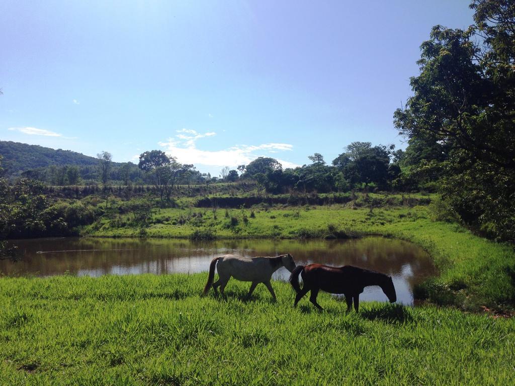 Aguas Vivas Hotel Fazenda Pirenopolis Luaran gambar