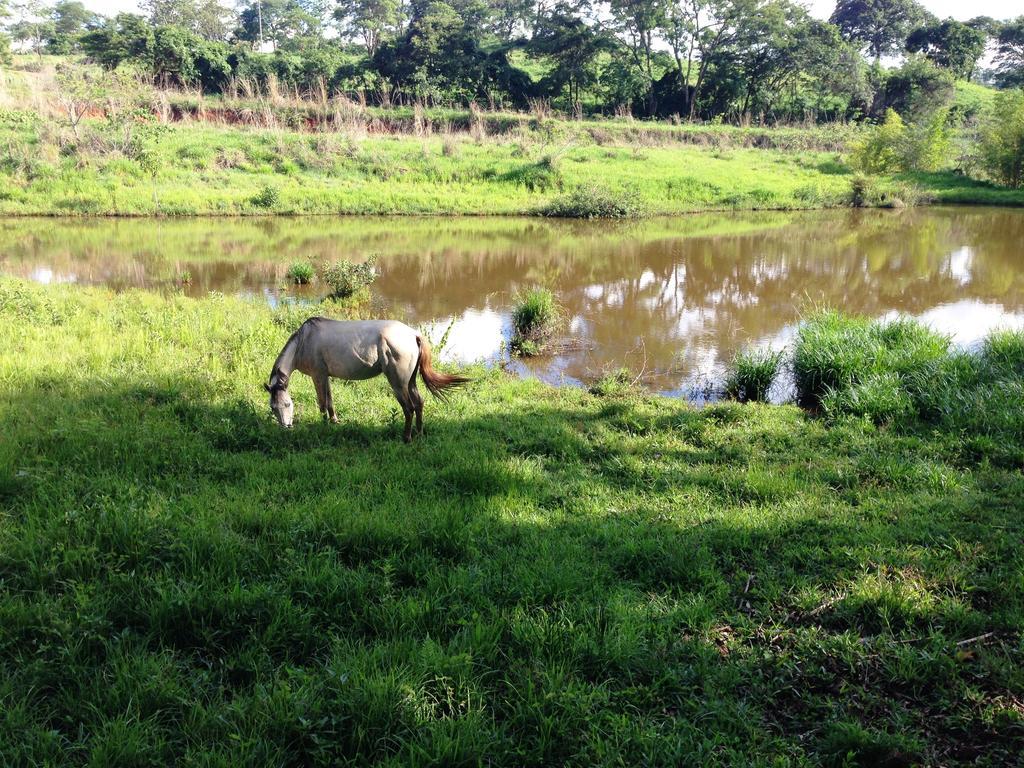 Aguas Vivas Hotel Fazenda Pirenopolis Luaran gambar