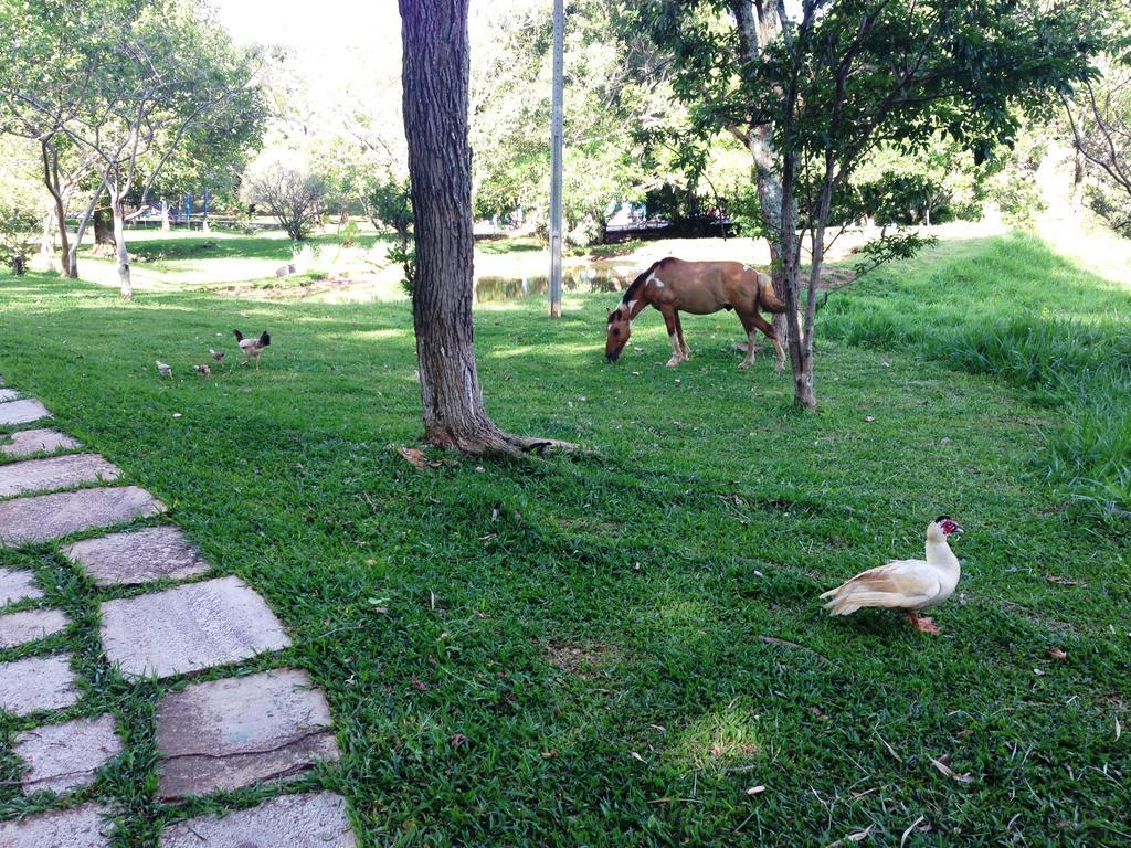 Aguas Vivas Hotel Fazenda Pirenopolis Luaran gambar