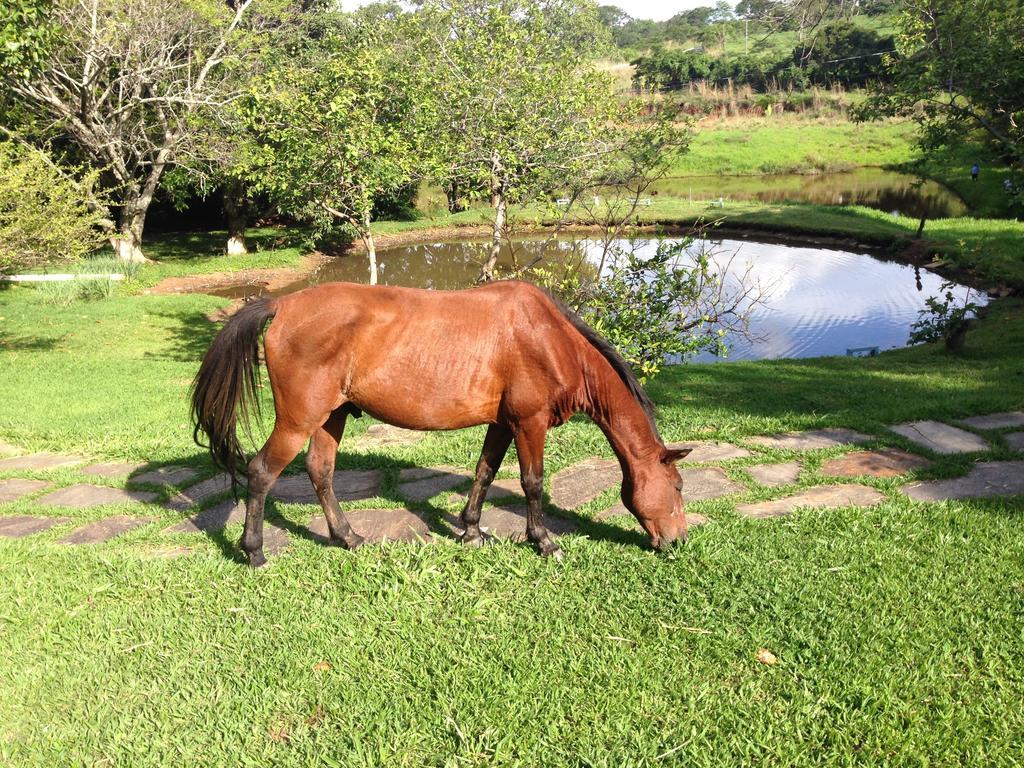 Aguas Vivas Hotel Fazenda Pirenopolis Luaran gambar