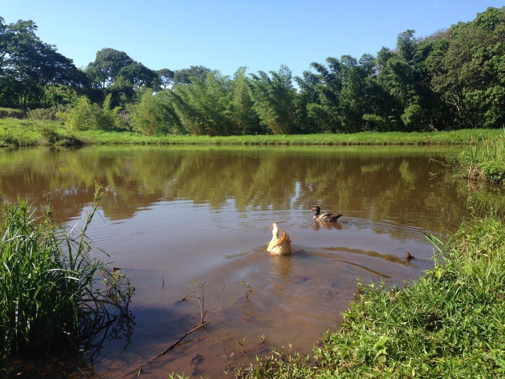 Aguas Vivas Hotel Fazenda Pirenopolis Luaran gambar